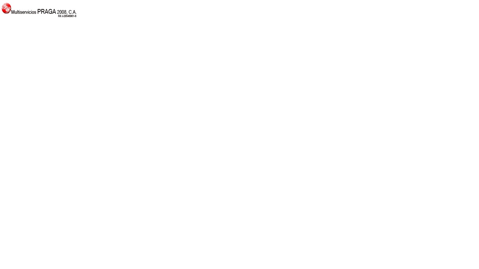 multiserviciospraga.com